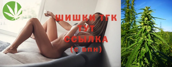 амф Бронницы