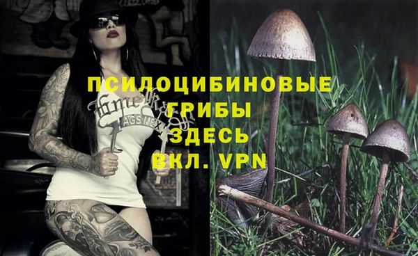 амф Бронницы