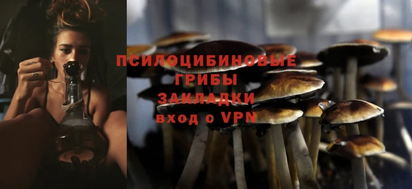 бутик Бородино
