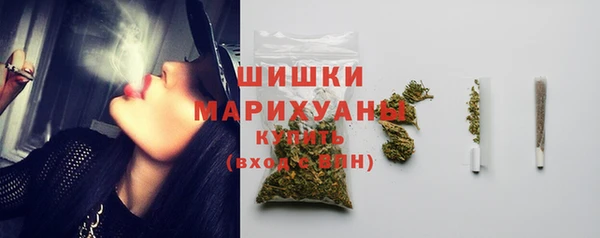 амф Бронницы